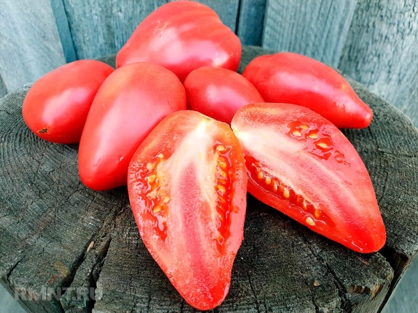 





ТОП-10 сортов томатов для вашего огорода



