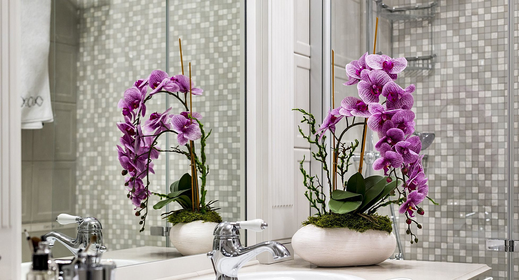Цветы для ванной комнаты без окон